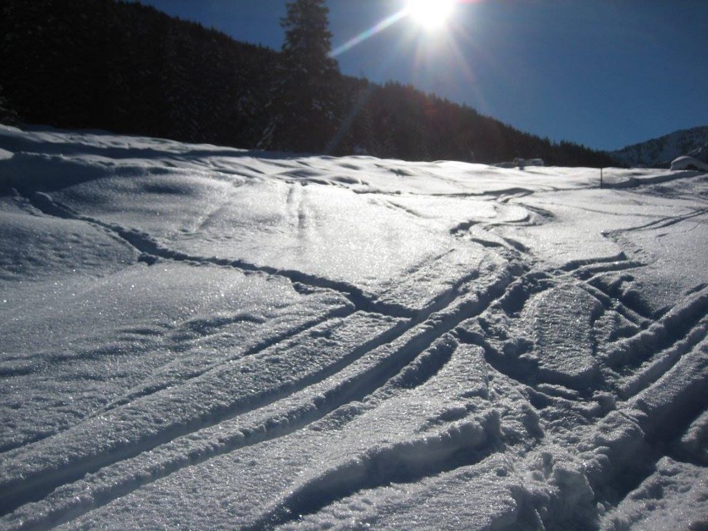 Foto Ski Spuren im Tiefschnee